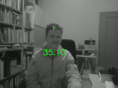 The role of Object Tracking in a Fever Detector application